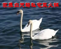 餐饮食材供应链，装之前先看这几处